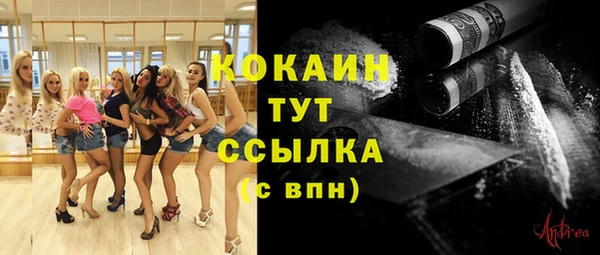 дмт Лихославль